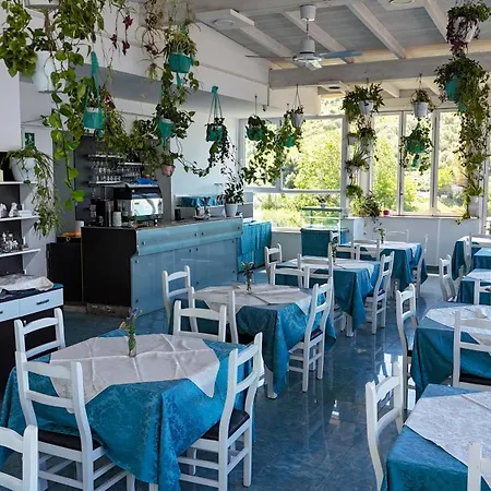 Garden 3* Radhimë