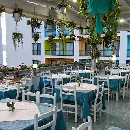 Garden فندق