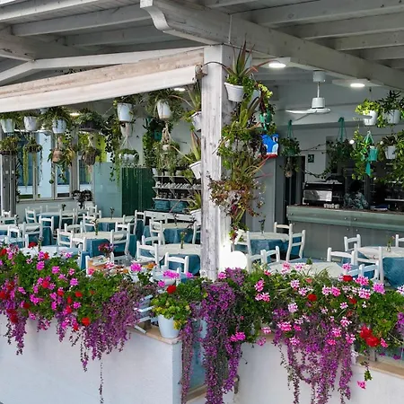 Garden 3* Radhimë