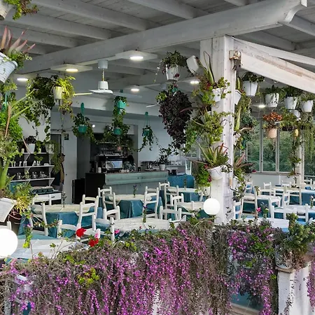 Garden 3* Radhimë