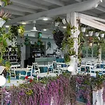 Garden 3* Радима