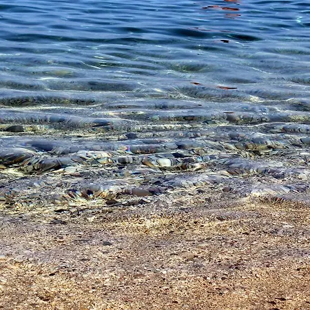 Hotell Garden Radhimë